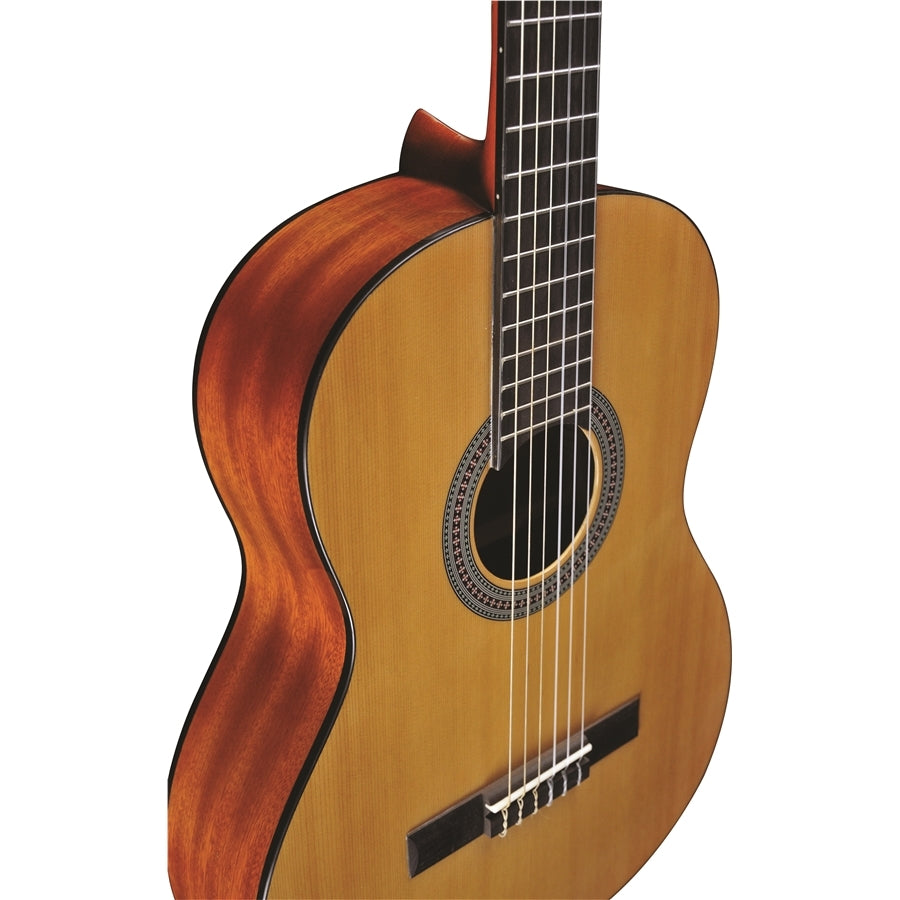 EKO Vibra 100 Natural Classica 4/4