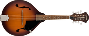 Fender PM-180E MANDO W/B, ACB