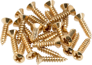 Fender Pickguard/Control Plate Mounting Screws (24) (Gold)