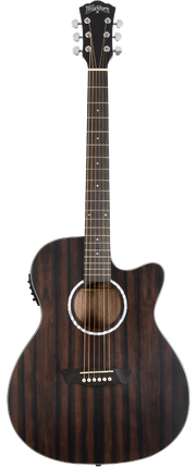 Washburn Ebony Ace