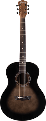 Washburn NOVO S9