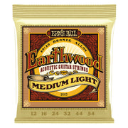 Ernie Ball 2003 Earthwood 80/20