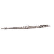 SOUNDSATION SFL-10 FLAUTO TRAVERSO IN DO CON ASTUCCIO