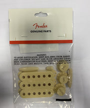 Fender Stratocaster Kit Accessori