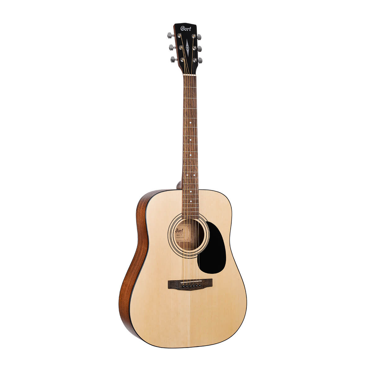 Cort Standard AD810 OP + bag