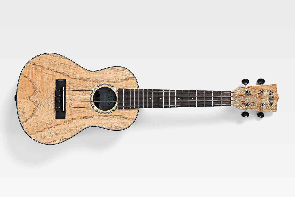 Kala KA-CLM-C - "Cape Lilac Mahogany" - ukulele concerto - c/borsa