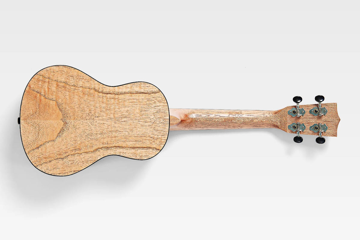Kala KA-CLM-C - "Cape Lilac Mahogany" - ukulele concerto - c/borsa