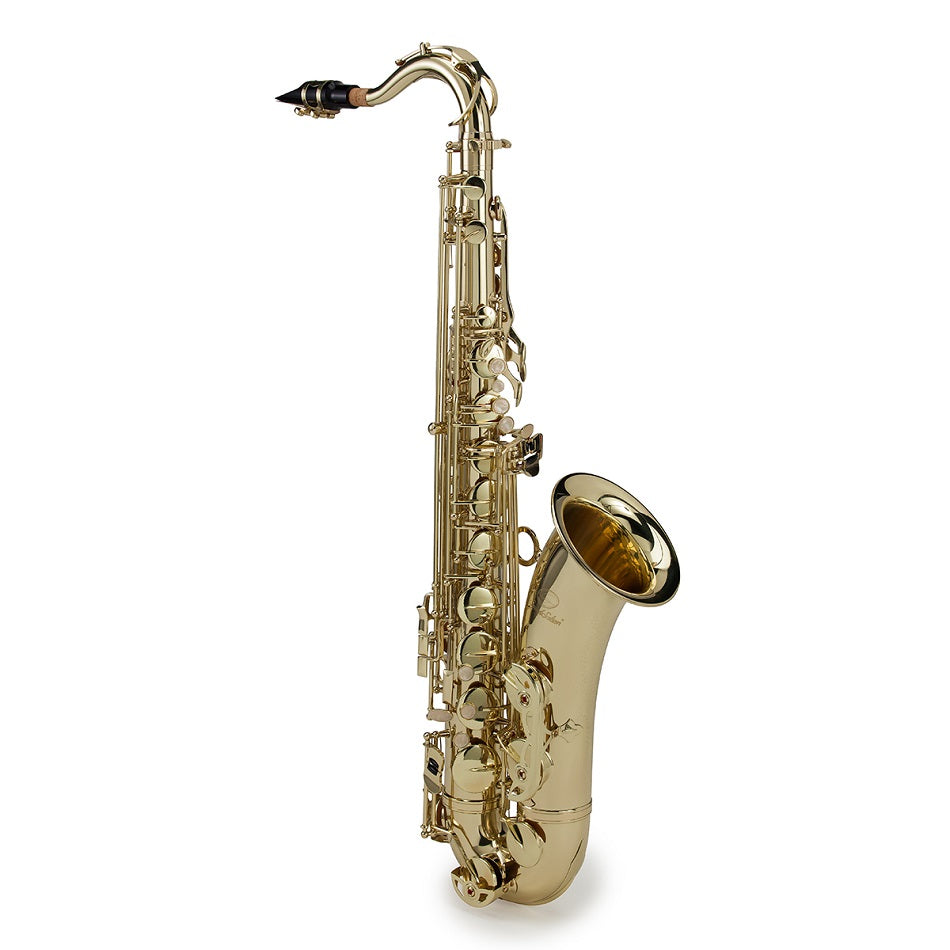SOUNDSATION STNSX-20 Sassofono tenore in Sib con chiave FA#