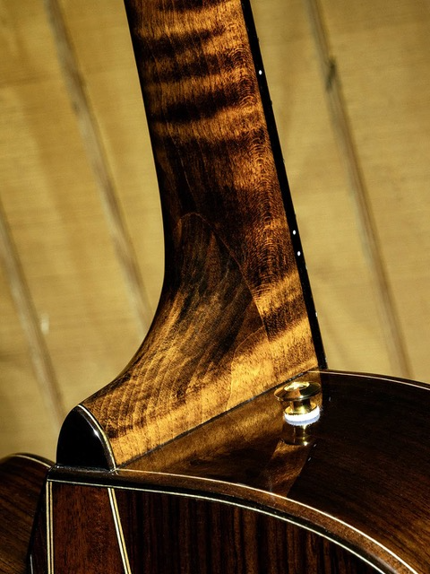 Ibanez AAD381CENT Acustica elettrificata