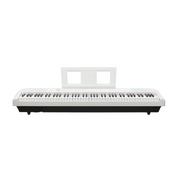 E-CHORD DP-1 White