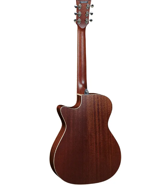 Eko Guitars Evo A350ce