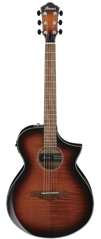 Ibanez AEWC400AMS