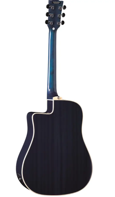 Eko NXT D100ce See Through Blue