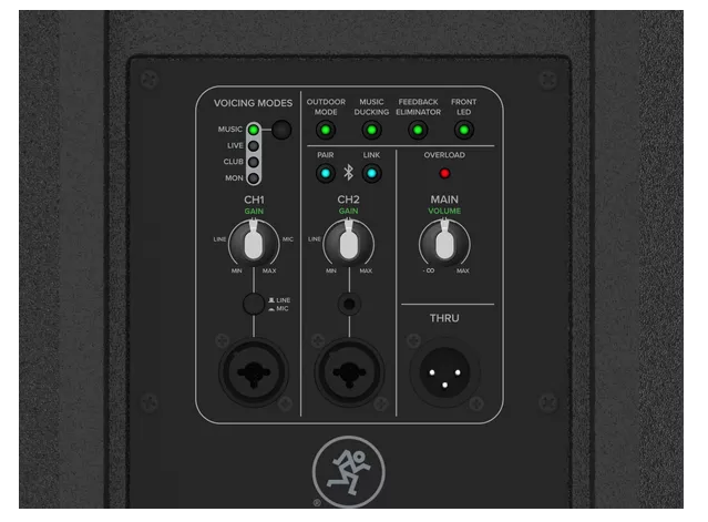 MACKIE THUMP 215XT