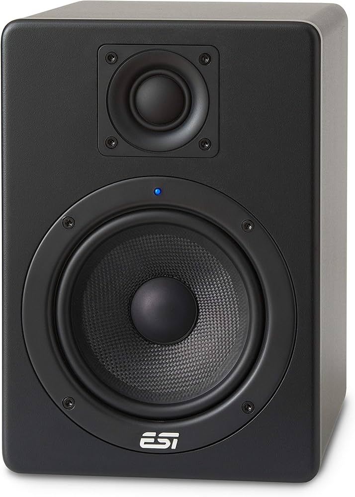 ESI Aktiv 05 Monitor Biamplificato -Prezzo per singolo monitor