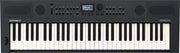 Roland Go:Keys 5 Graphite