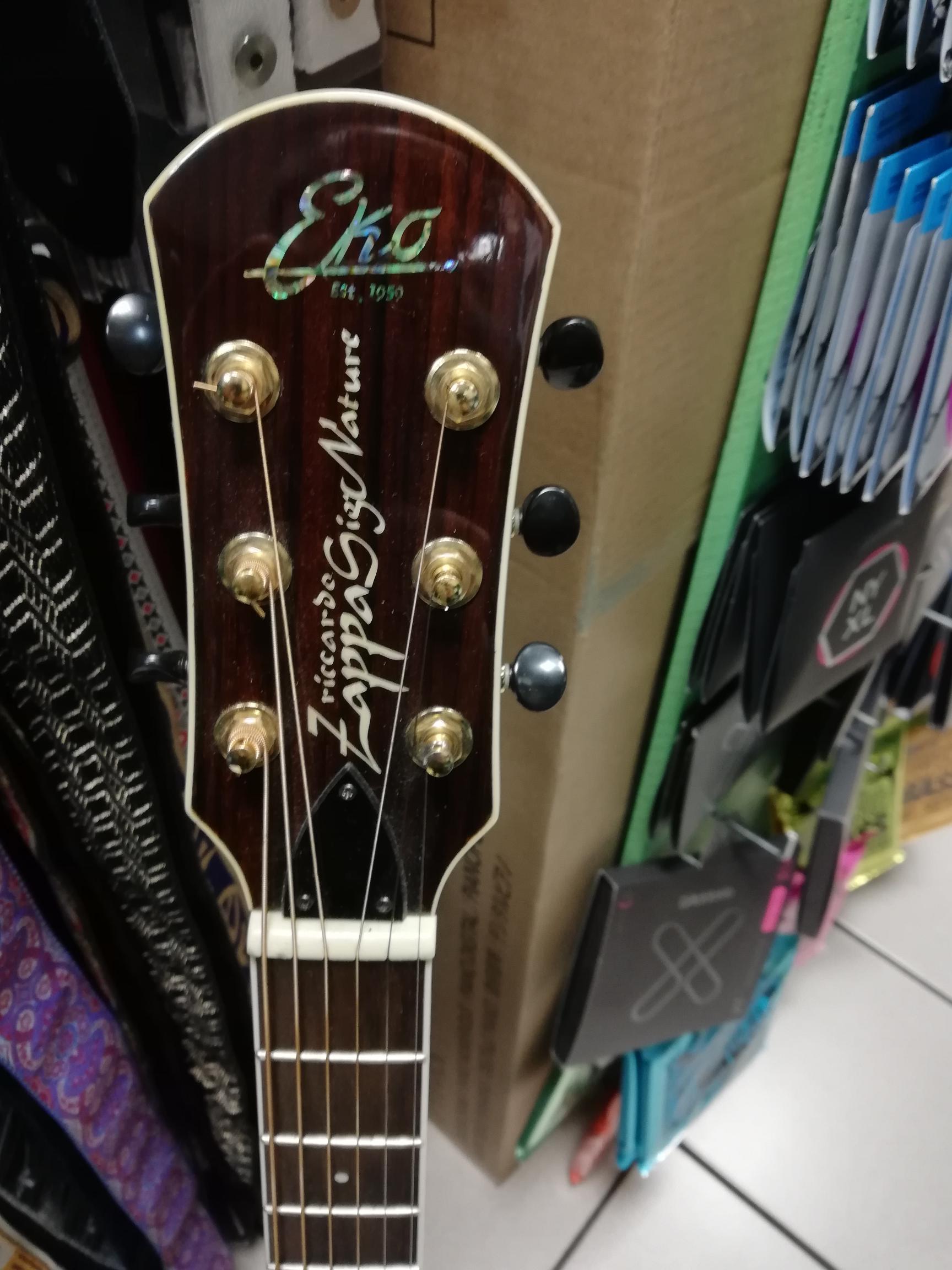 Eko Riccardo Zappa Signature Usata