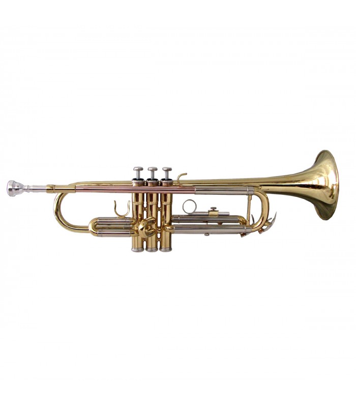 Soundsation STPGD-10 GOLD Tromba in SIb con astuccio