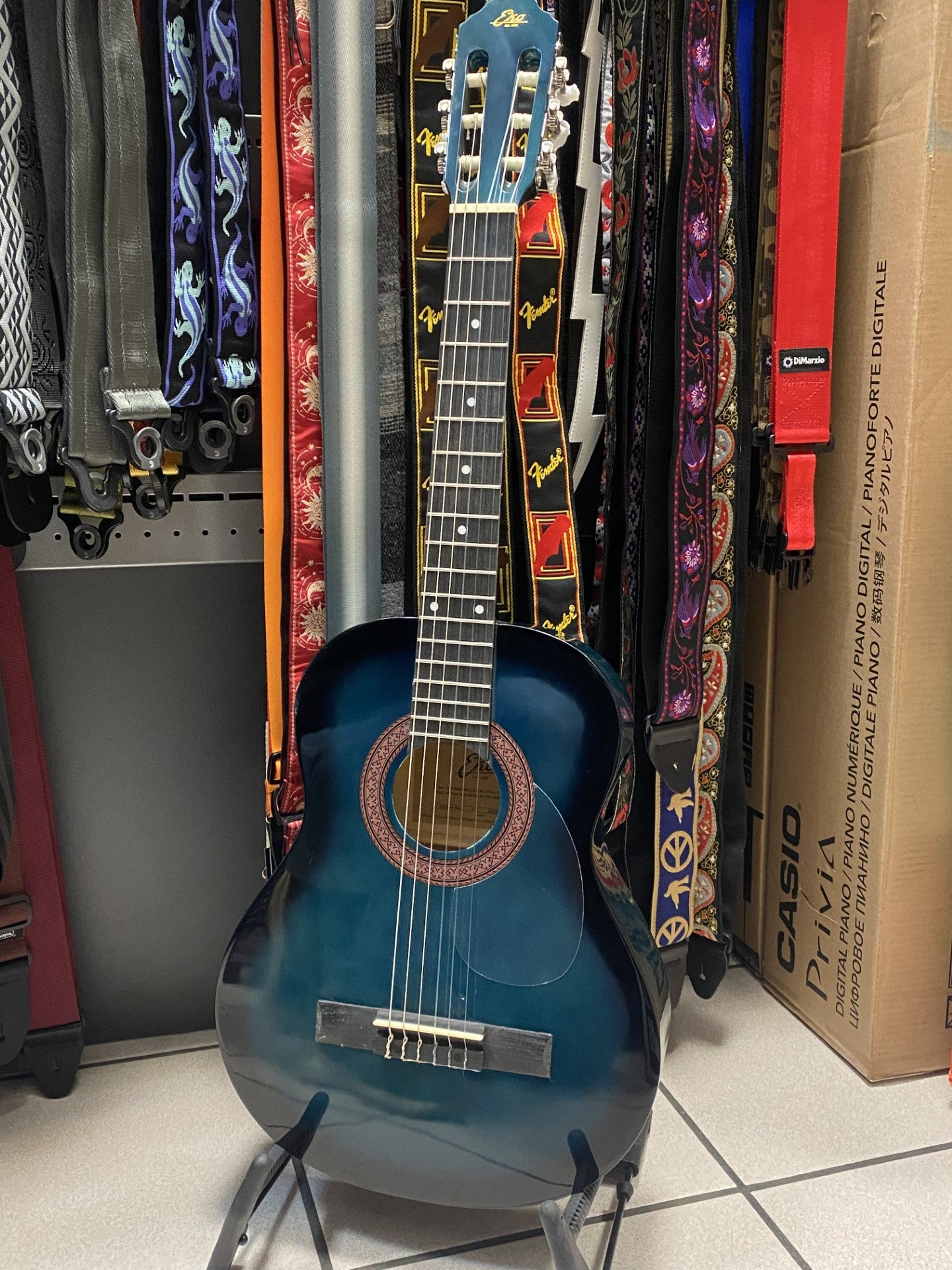 Eko Guitars CS-5 Blue Burst