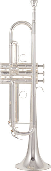 Yamaha YTR-4335GSll Tromba in Sib con Astuccio