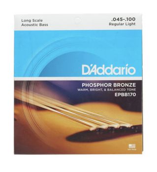 D'ADDARIO EPBB170 Phosphor Bronze Acoustic Bass Long Scale