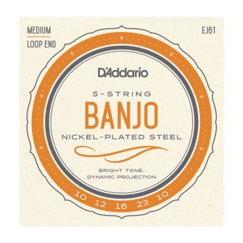 D'Addario EJ61 5-Corde Banjo, Nickel, Medium, 10-23