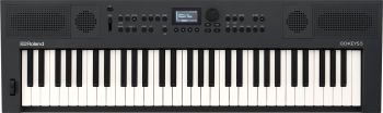 Roland GO:KEYS 5 GT Music Creation Keyboard
